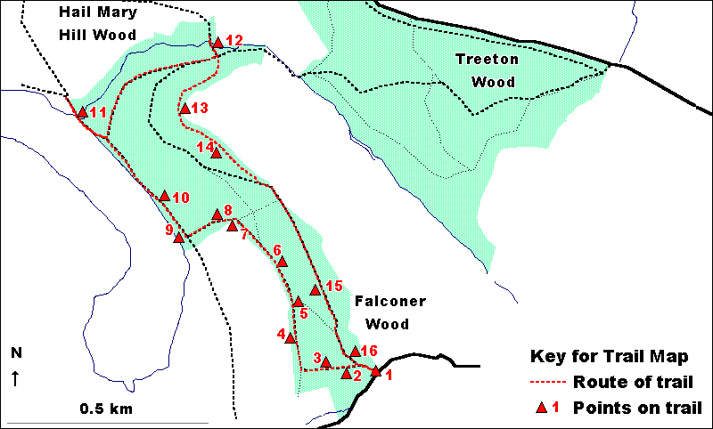 Hail Mary Hill & Falconer Woods - trail map
